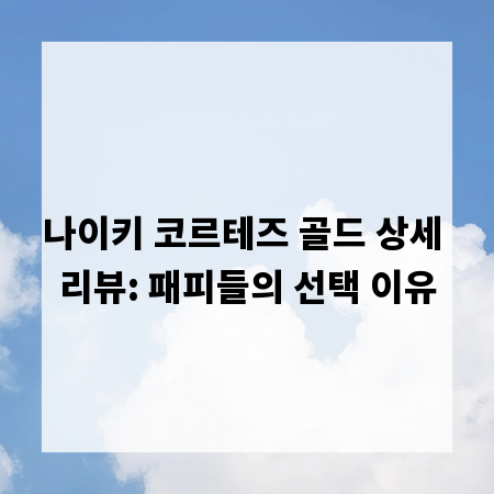 나이키 코르테즈 골드 상세 리뷰: 패피들의 선택 이유