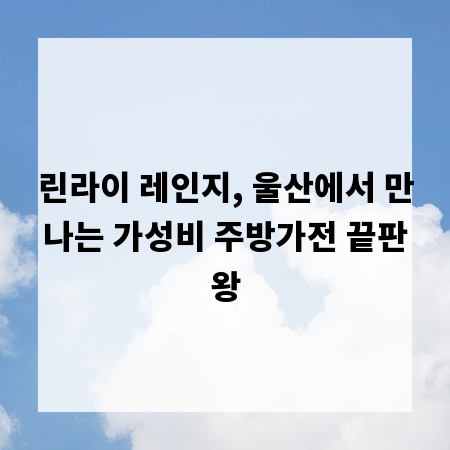 린라이 레인지, 울산에서 만나는 가성비 주방가전 끝판왕