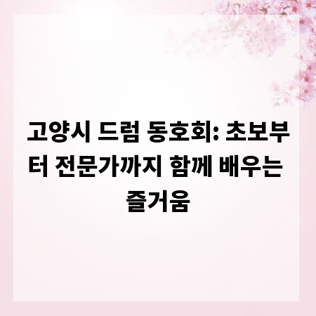 고양시 드럼 동호회: 초보부터 전문가까지 함께 배우는 즐거움