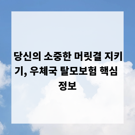 당신의 소중한 머릿결 지키기, 우체국 탈모보험 핵심 정보