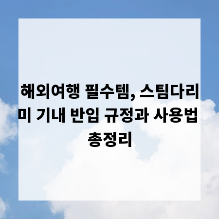 해외여행 필수템, 스팀다리미 기내 반입 규정과 사용법 총정리