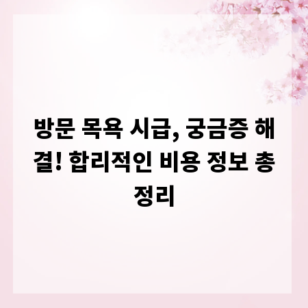 방문 목욕 시급, 궁금증 해결! 합리적인 비용 정보 총정리
