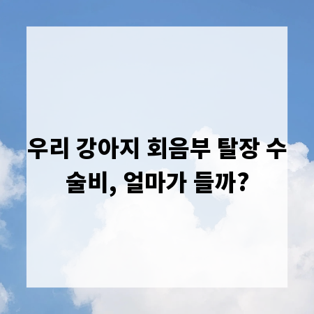 우리 강아지 회음부 탈장 수술비, 얼마가 들까?