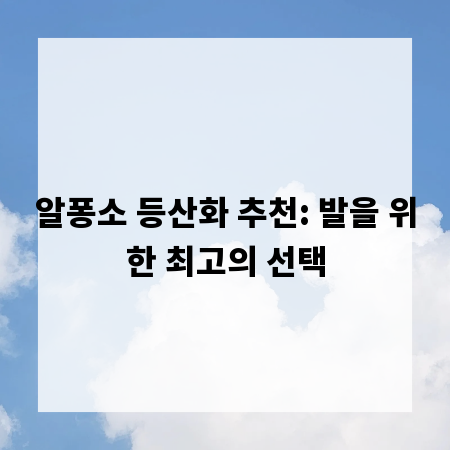 알퐁소 등산화 추천: 발을 위한 최고의 선택