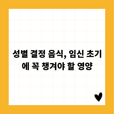 성별 결정 음식, 임신 초기에 꼭 챙겨야 할 영양
