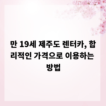 만 19세 제주도 렌터카, 합리적인 가격으로 이용하는 방법