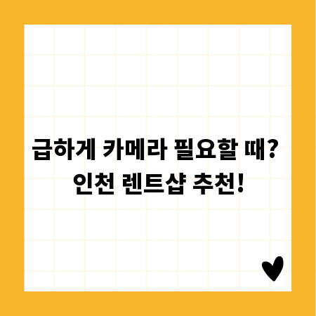 급하게 카메라 필요할 때? 인천 렌트샵 추천!
